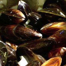 Mussels  in White Wine